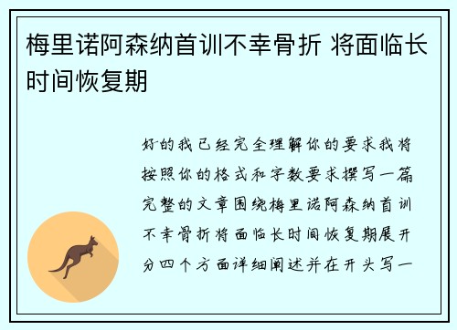 梅里诺阿森纳首训不幸骨折 将面临长时间恢复期